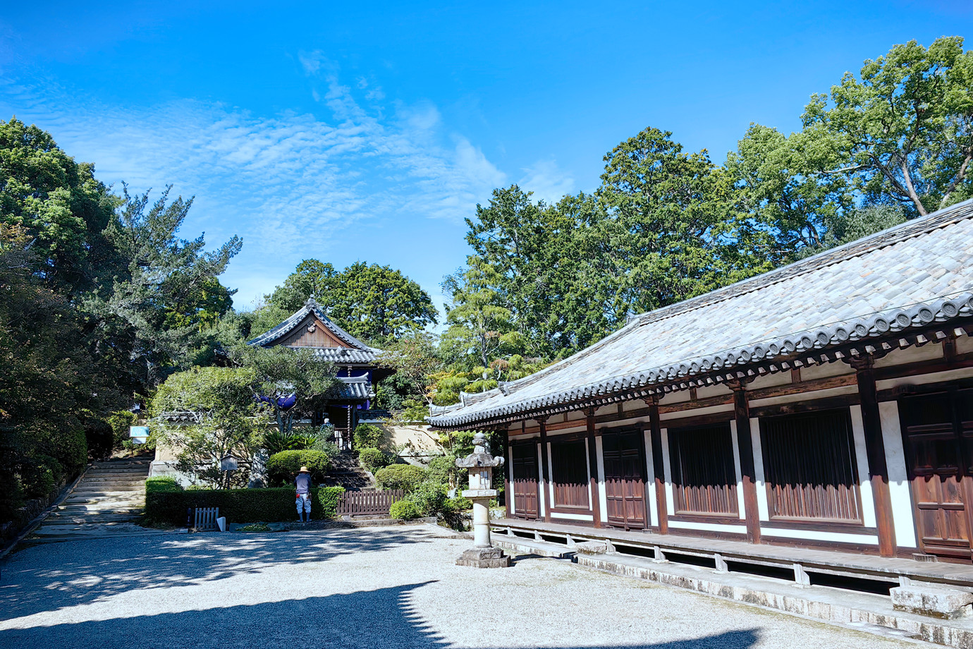 奈良-唐昭提寺